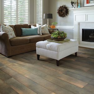 Your Flooring Source in Berea & Broadview Heights, OH | Pucher's ...