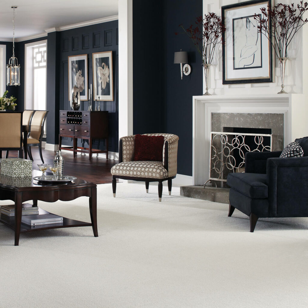 Carpet floor cleaning | Pucher's Decorating Centers